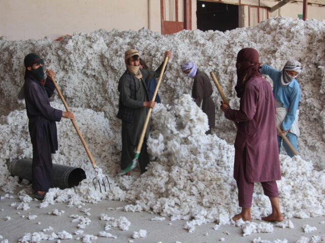 AFGHANISTAN-KUNDUZ-COTTON-PROCESS FACTORY