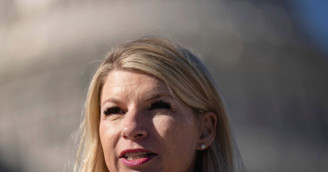 Colorado Democrat Lawmaker Begs Joe Biden to Step Aside: 'Please Pass the Torch'