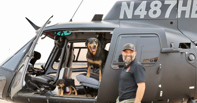 PHOTOS — 'God Bless You': Rescuer Braves California Wildfire to Save Dog and Her Puppies