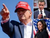 Survey: Donald Trump Beats Gavin Newsom, Kamala Harris in Hypothetical Matchup