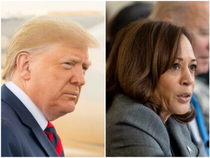 Poll: Donald Trump Edges out Kamala Harris in New Hampshire