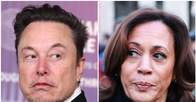 Elon Musk Slams Kamala Harris for 'Lying' About Donald Trump's Abortion Stance