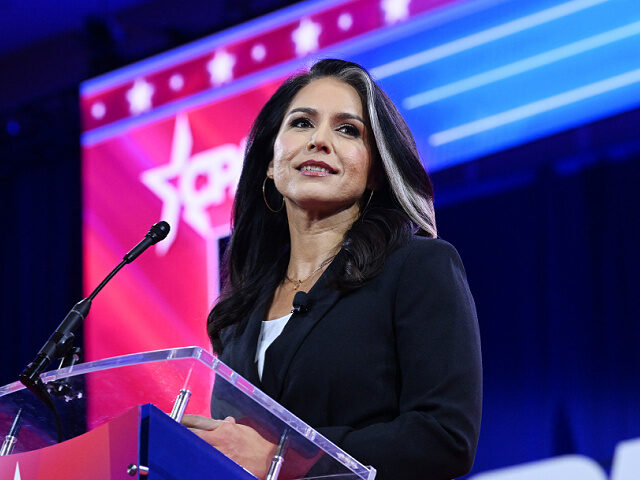 NATIONAL HARBOR, MD - FEBRUARY 22: Former U.S. Representative Tulsi Gabbard appears at CPA