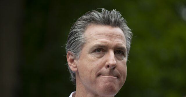 Gavin Newsom Tells Skeptical Michigan Democrats to Stick with Biden