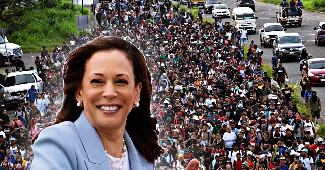 Report: Kamala Harris Played 'Instrumental' Role in Biden's Executive Amnesty for Illegal Aliens