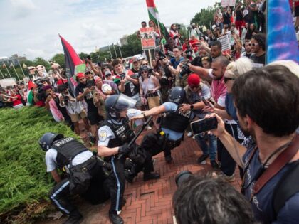 NPR - Pro-Palestinian protesters and police clash at Union Station in Washington, DC, on J
