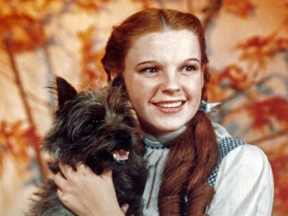 Judy Garland, as character Dorothy Gale, holds Toto in a publicity still for 'The Wizard o