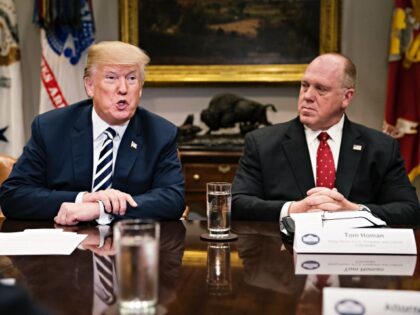 WASHINGTON, DC - MARCH 20: President Donald Trump and acting director of Immigration and C