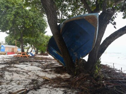 A boat ended up in a tree after the passage of Hurricane Beryl in Oistins gardens, Christ