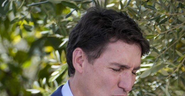 'Human Piñata': Canada's Conservatives Pan Justin Trudeau for Embarrassing NATO Summit
