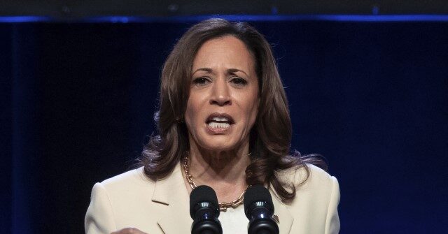 Report: Harris Allies Seethe as ‘White’ Dems Dominate Biden Replacement Talks
