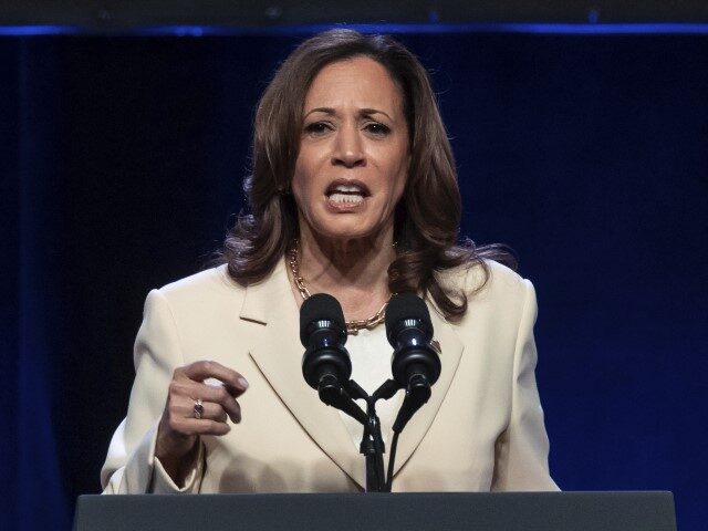 Vice President Kamala Harris speaks during the Unite Here Convention on Friday, June 21, 2