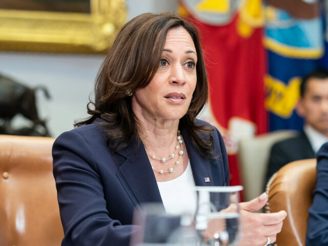 Vice President Kamala Harris meets with Texas Democratic Legislators, Wednesday, June 16,