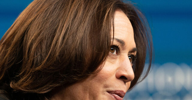 NextImg:Kamala Harris Supporters Fear Democrat Women Losing Elections Causes PTSD