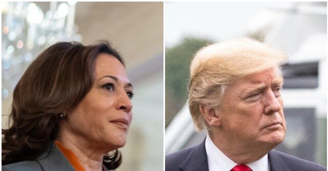 Kamala Harris Agrees to Debate Donald Trump: 'I'm Ready'