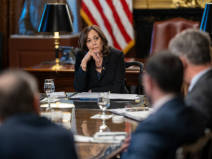 Vice President Kamala Harris holds a roundtable meeting with experts, Tuesday, February 7,