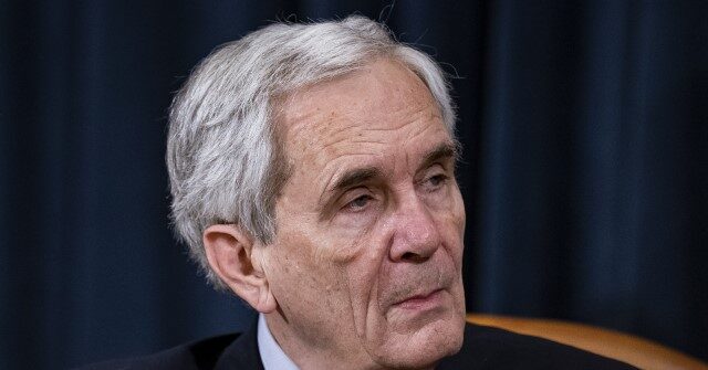 Dem Rep. Doggett: Tax Cuts for Tips, Seniors, Kids 'Little Flourishes' to Cover Up Everything Else