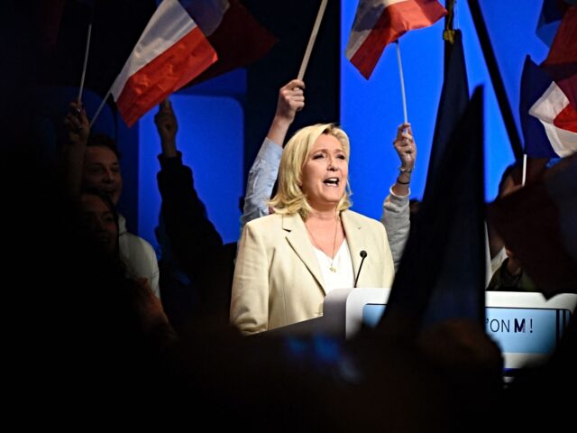 TOPSHOT - Supporters wave the national flag as the French "Rassemblement national" (RN) pa