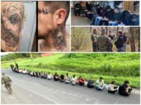 More Migrants Apprehended in Northern Border Sector in 10 Months than Last 13 Years Combined