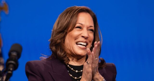 VIDEO: Team USA's Steve Kerr, Steph Curry Use Olympics to Push for Kamala Harris for President