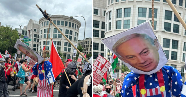 Anti-Israel Protesters Release Maggots, Mealworms in Benjamin Netanyahu's Hotel