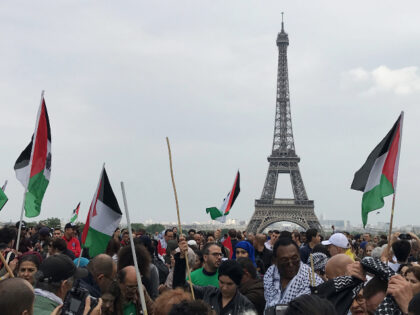Protest in Paris against Israeli massacre in Gaza