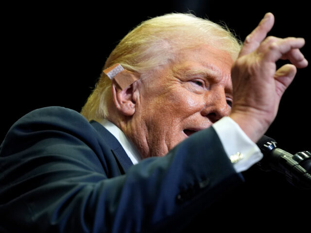 Republican presidential candidate former President Donald Trump speaks at a campaign rally