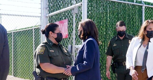EXCLUSIVE: 'Kamala a Failure at the Border,' Says Rep. Tony Gonzales