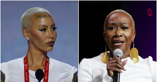Model Amber Rose Blasts MSNBC's Joy Reid for 'Race Baiting' after GOP Convention Speech