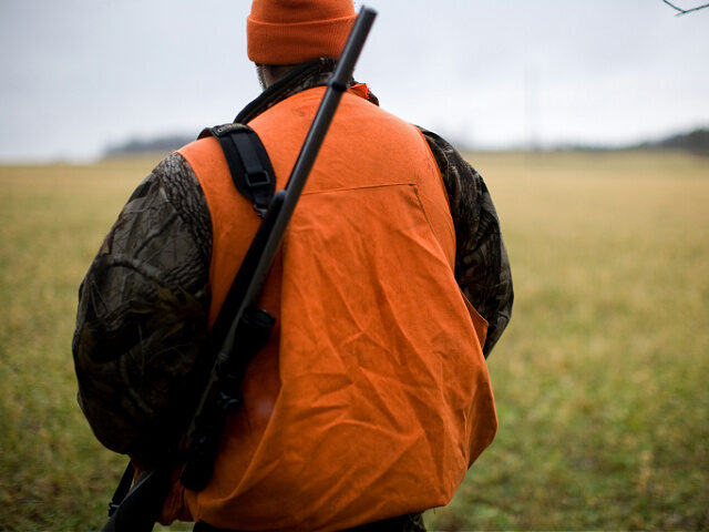 Hunter watching the fields.