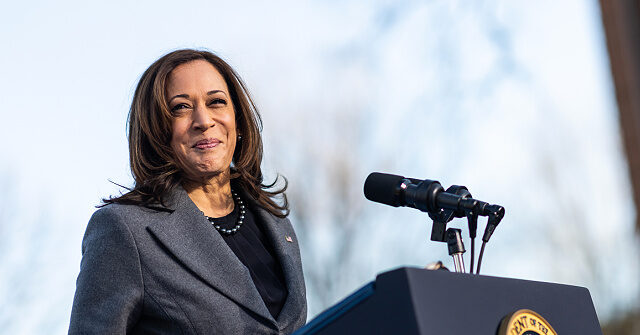 Dem Rep. Casten: Dems Who Voted to Rebuke Harris on Border Were Trying to Save Their Seats, Didn't Really Mean It