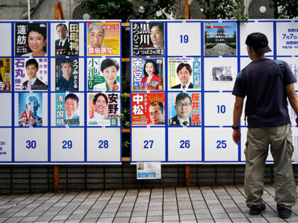 A person looks at an election poster board for the Tokyo gubernatorial election, Monday, J
