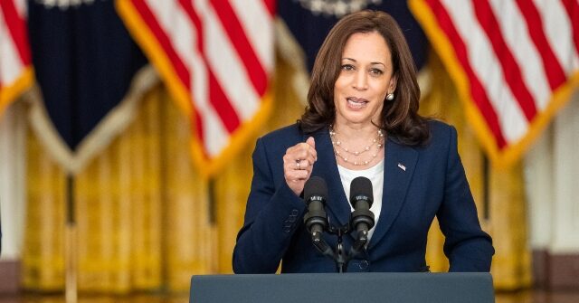 NewsBusters: CNN, MSNBC, CBS, ABC Called Kamala Harris the 'Border Czar' 