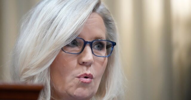 Neocon Liz Cheney Slams J.D. Vance