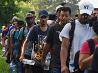 Vance warns Illegal Migrants in U.S. to ‘Start Packing’: Trump ‘Coming Back&#8217