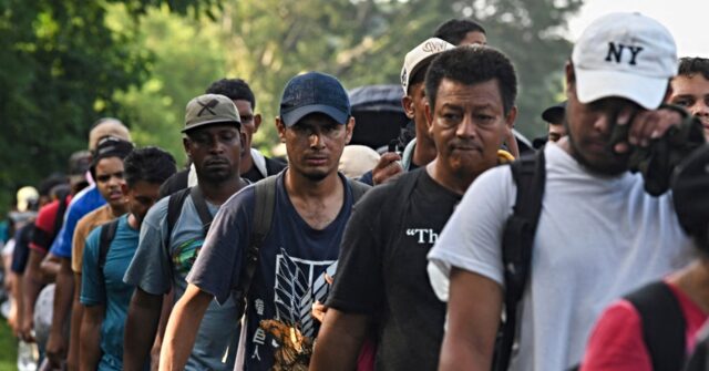 Vance warns Illegal Migrants in U.S. to 'Start Packing': Trump 'Coming Back'