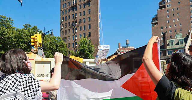 Pro-Palestinian Protesters Disrupt Fireworks in NYC, Burn American Flags