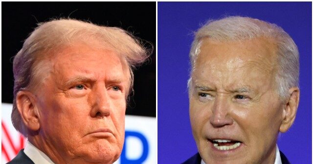Poll: Donald Trump and Joe Biden Tied for Popular Vote