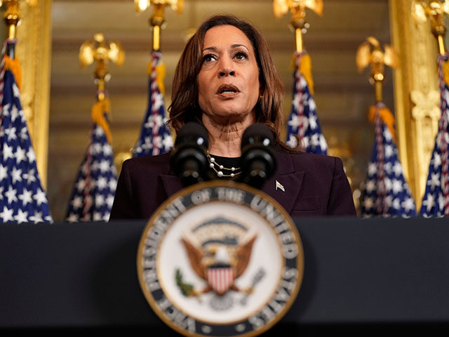 Vice President Kamala Harris speaks following a meeting with Israeli Prime Minister Benjam