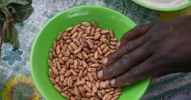 Zimbabwe Drought Leads to Dire Food Aid Need