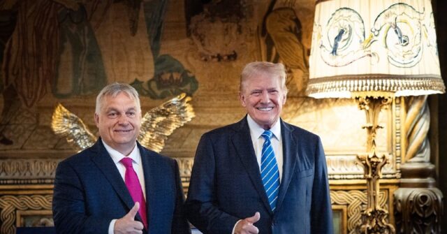 Hungary's Orban Meets Trump After NATO Summit - Breitbart