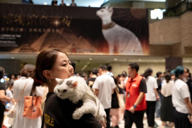 Shanghai Museum held its first ancient Egypt cat night for felines and their owners