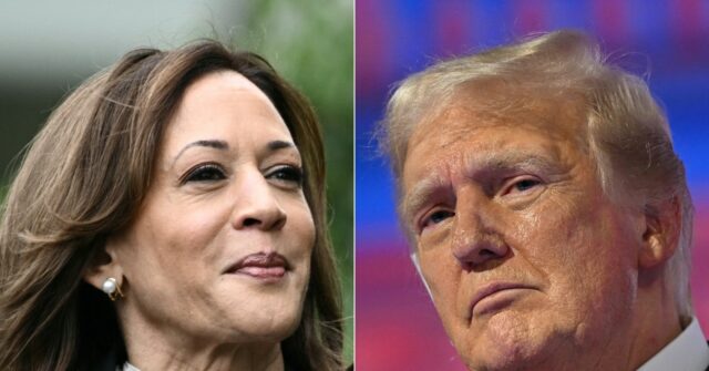 Trump and Harris Prepare for Key Debate