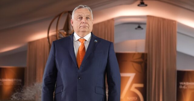 Hungarian PM Orbán's Diplomatic Efforts on Ukraine