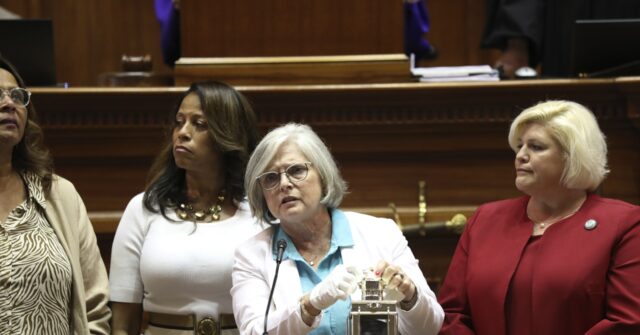 SC GOP Women Senators Ousted Over Abortion Ban