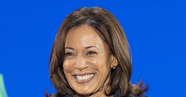 MARLOW: Democrat Voters Support Harris Based on Her 'Vibe', Say 'She's Good for Women'