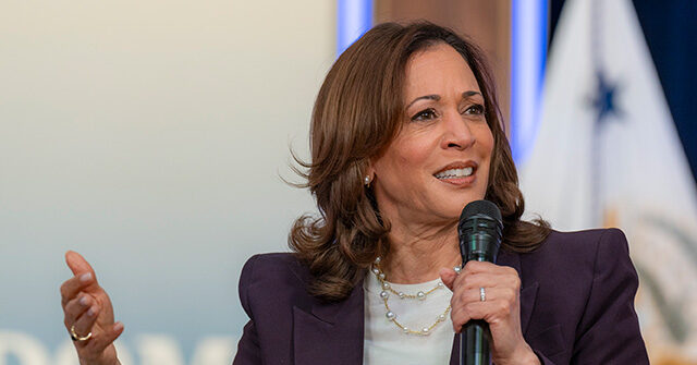 Kamala Harris: 'Now Is the Time' for a Ceasefire, to 'Bring the Hostages Home'