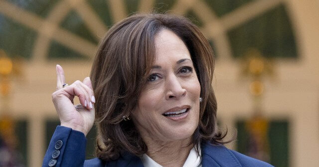 Report: Kamala Harris to Unveil More Policies After Releasing Soviet-Style Schemes