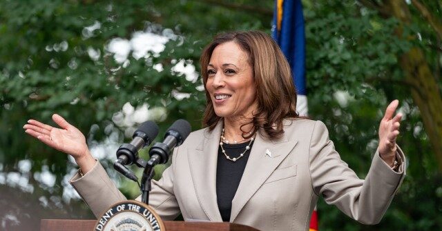 Alfredo Ortiz: Kamala Harris’s 'Tax Armageddon' Is a 'Giant Leap Toward Socialism'