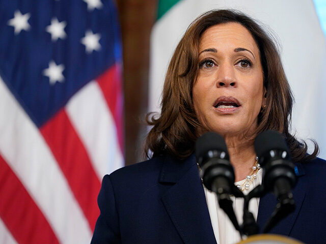 Vice President Kamala Harris speaks during her meeting with Nigeria's Vice President Yemi